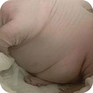 Telegram stiker 🐱 пузяки :: @fStikBot