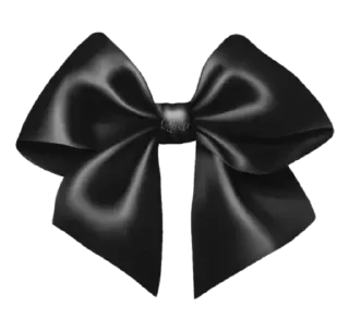 Telegram sticker 🎀 𝐍𝘦𝘤𝘳𝘰𝘴𝘺𝘴 𝗣𝗮𝗰𝗸𝘀  𝔉̸𝃣 @necrozou