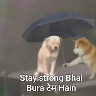 Sticker ⭐️ @chhotadonnnnn @Daddyhere069