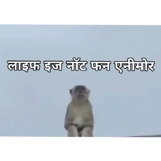 Video sticker 💪 @chhotadonnnnn @Daddyhere069