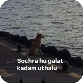 Telegram sticker 🐶 @chhotadonnnnn @Daddyhere069