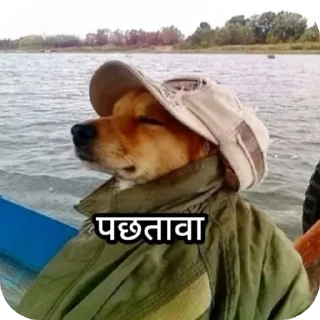 Video sticker 🐶 @chhotadonnnnn @Daddyhere069