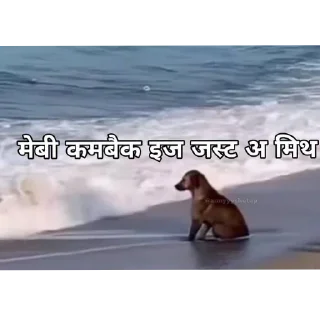 Video sticker 🐶 @chhotadonnnnn @Daddyhere069