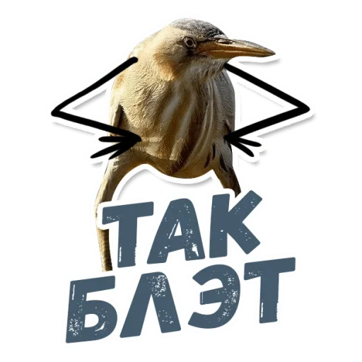 Telegram sticker 😎 Tata☪ — @stckrRobot