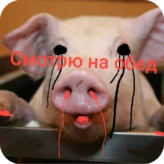 Телеграм стикер 👄 Шогает @Shogaet_1_Shogaet