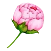 Sticker 🌷 @gh158c   ༺༽قنــــــاة راقــــت لــــي  ༼༻ @TgEmodziBot