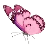 Sticker 🦋 @gh158c   ༺༽قنــــــاة راقــــت لــــي  ༼༻ @TgEmodziBot