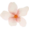 Sticker 🌸 @gh158c   ༺༽قنــــــاة راقــــت لــــي  ༼༻ @TgEmodziBot