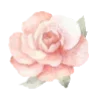 Sticker 🌸 @gh158c   ༺༽قنــــــاة راقــــت لــــي  ༼༻ @TgEmodziBot