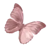 Sticker 🦋 @gh158c   ༺༽قنــــــاة راقــــت لــــي  ༼༻ @TgEmodziBot