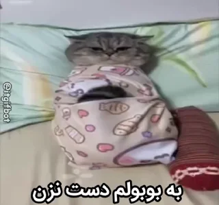 Video sticker 🥰 Mood🏕️@Playfobian-@Poublickeds :: @fStikBot