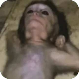 Telegram sticker 🌟 Mood🏕️@Playfobian-@Poublickeds :: @fStikBot