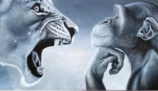 Telegram sticker 🌟 Tiktok Pack - @SamirBinIch :: @fStikBot