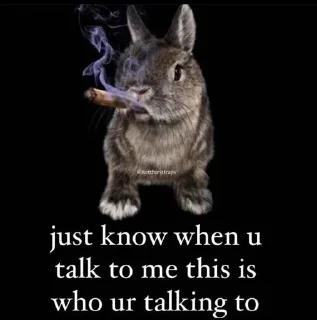 Video sticker 🙂 bipolar cutie  @dpjorgwhwiqnaboakcign