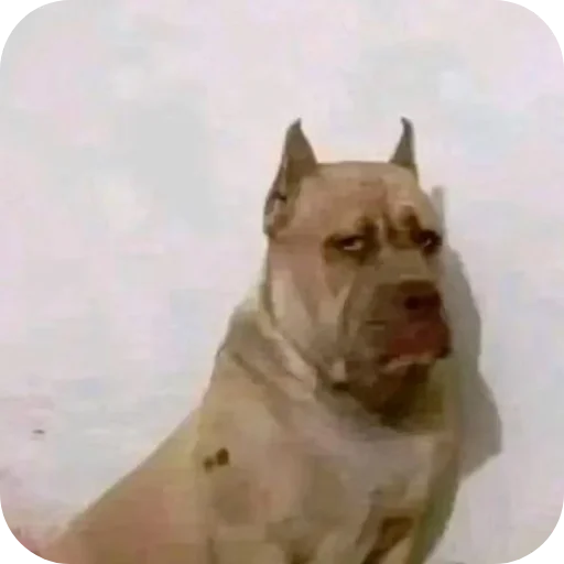 Sticker 👄 mel - @receosa