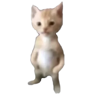 Sticker 🖼 I'm gon eat the whole world and u can't do shit