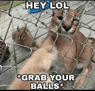 Телеграм стикер 😏 I'm gon eat the whole world and u can't do shit