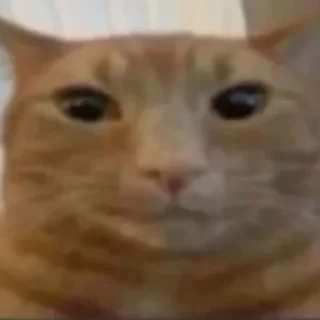 Video sticker 😐 I'm gon eat the whole world and u can't do shit