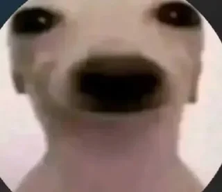 Video sticker 🖼 I'm gon eat the whole world and u can't do shit