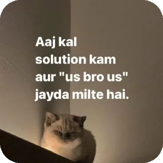 Video sticker 🐱 Memosaa X TUSFE_YaPpEr_06🤓🎀