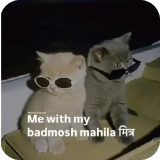 Video sticker 🐱 Memosaa X TUSFE_YaPpEr_06🤓🎀