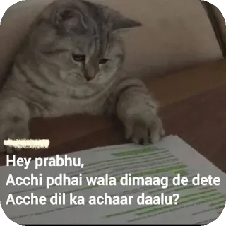 Sticker 🐱 Memosaa X TUSFE_YaPpEr_06🤓🎀