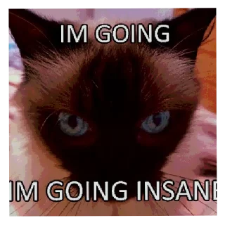 Telegram sticker 🐱 Ngh @sexwithboothill