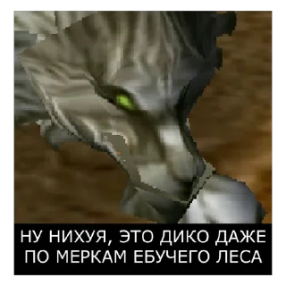 Video sticker 🪧 Чиназес