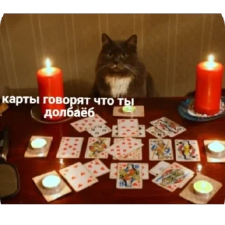 Video sticker 🕯️ Чиназес