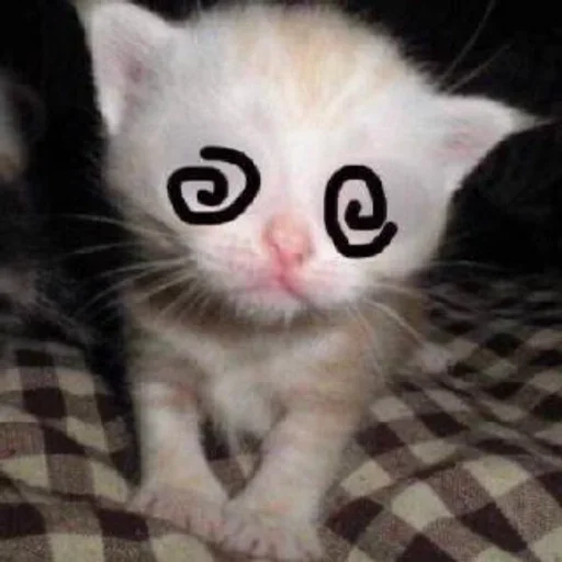 Telegram sticker 🌟 ANAN