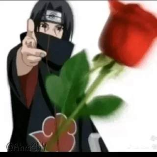 Sticker 🌹 - ᗷY @ahMshY 𓉮 . Throwing Flowers