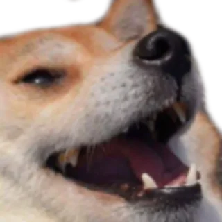 Telegram sticker 😆 リコリス
