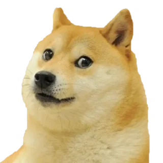 Telegram sticker 👀 リコリス