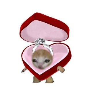 Телеграм стикер 💍 CH - @stikarsgrob