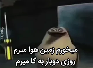 Video sticker 😀 @moeinhpour0  ⬅️ هزار تا استیکر خفن