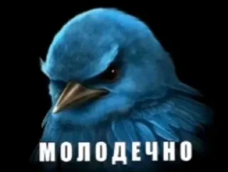 Telegram sticker 🤩 Больше стиков тут: @stikery4