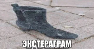 Video sticker 👞 ЭКСТЕРАГРАМ • @exteraGram