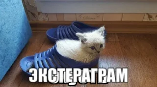 Telegram sticker 👟 ЭКСТЕРАГРАМ • @exteraGram