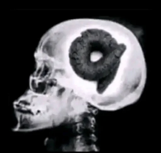 Telegram sticker 🌟 @guielihan