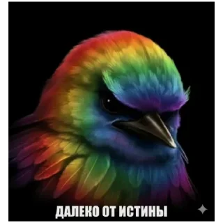 Telegram sticker 🙋 Вряд ли @dayasmirson