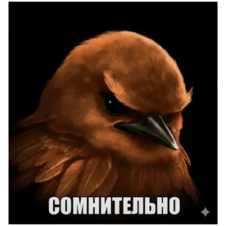 Telegram sticker 🦮 Вряд ли @dayasmirson