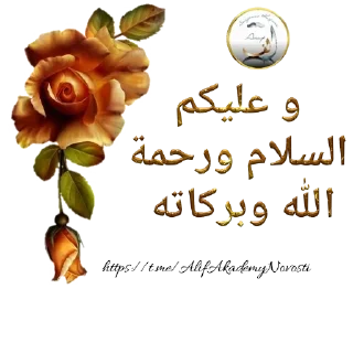 Video sticker 🤝 Yasmin's stickers by @fStikBot