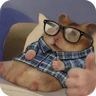 Телеграм стикер 🫥 crypto mouse @shim_sing