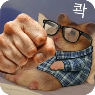 Video sticker 🫥 crypto mouse @shim_sing