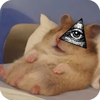 Video sticker 🫥 crypto mouse @shim_sing