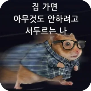 Телеграм стикер 🫥 crypto mouse @shim_sing