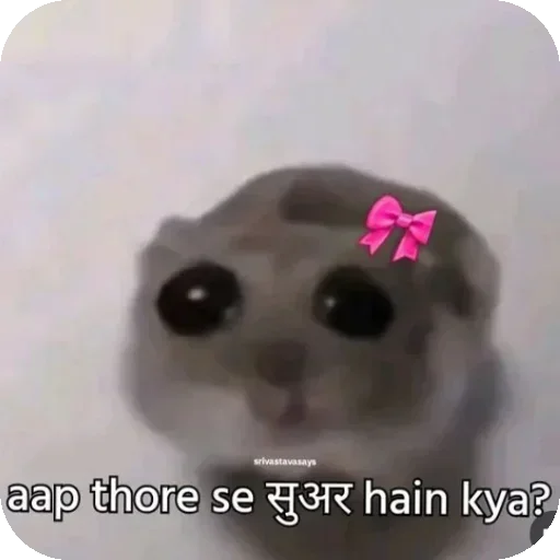 Telegram sticker 🖼 @aghori_chan  @Pain7en