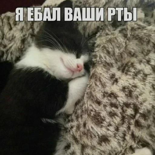 Telegram sticker 💞 :):):):):) :: @fStikBot