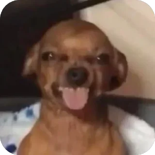 Video sticker 🫥 Pérez Soso
