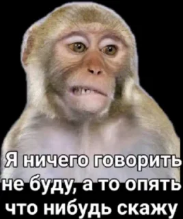 Video sticker 😒 Стикеры @stickrubot @textmeru_bot